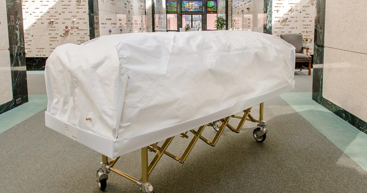 EnsureASeal Standard Casket Protector